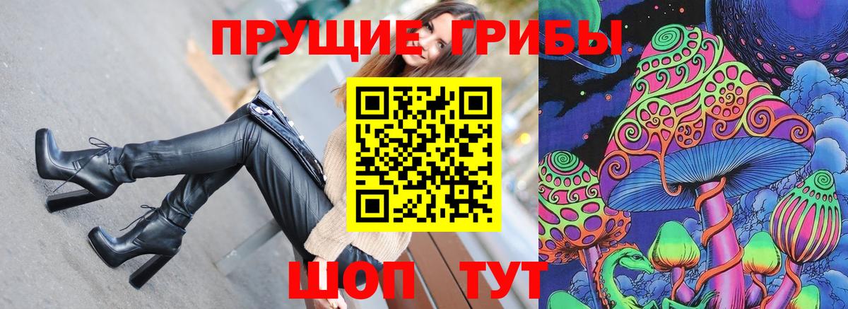 Галлюциногенные грибы Psilocybine cubensis Абакан