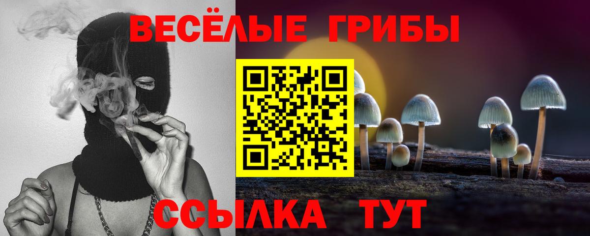 Псилоцибиновые грибы GOLDEN TEACHER  Псилоцибиновые грибы мухоморы  Абакан  Вход с VPN 
